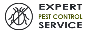 Pest Control Exterminator  Delray Beach FL